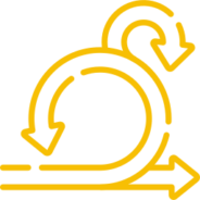 Routing & Switching